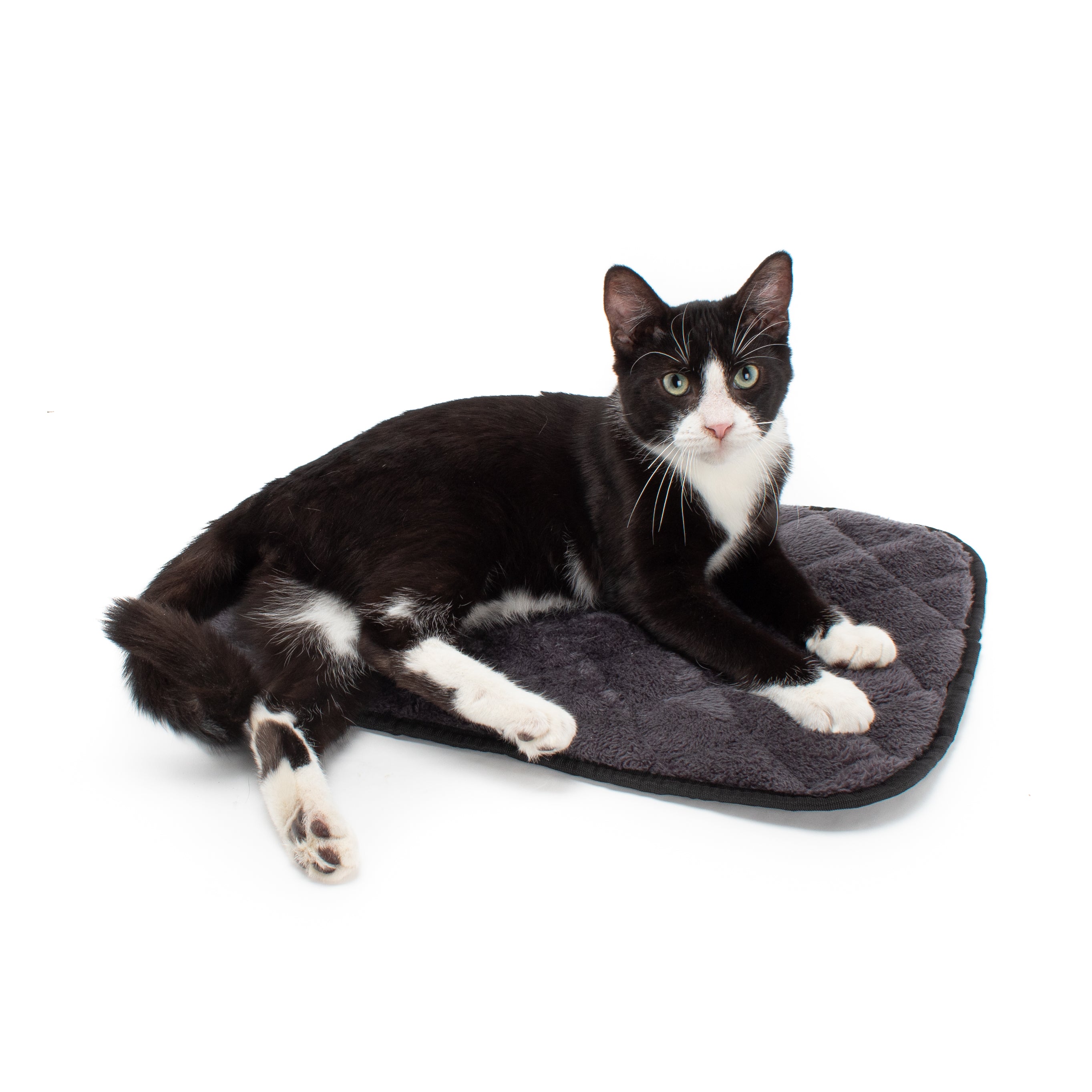 Cat scratching food mat best sale