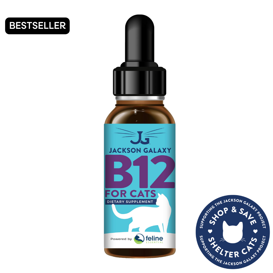 B12 supplement for dogs best sale