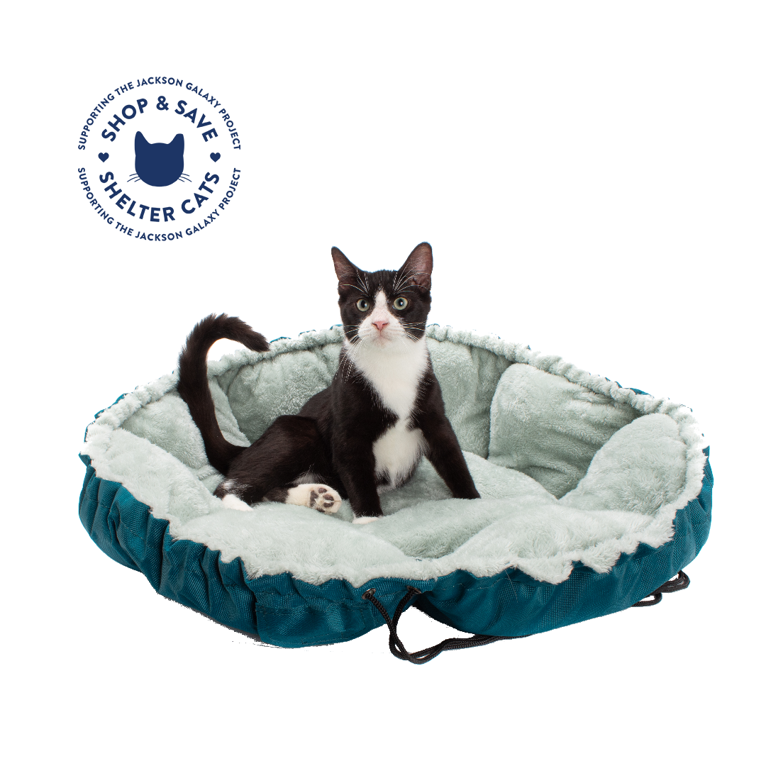 Clamshell sale cat bed