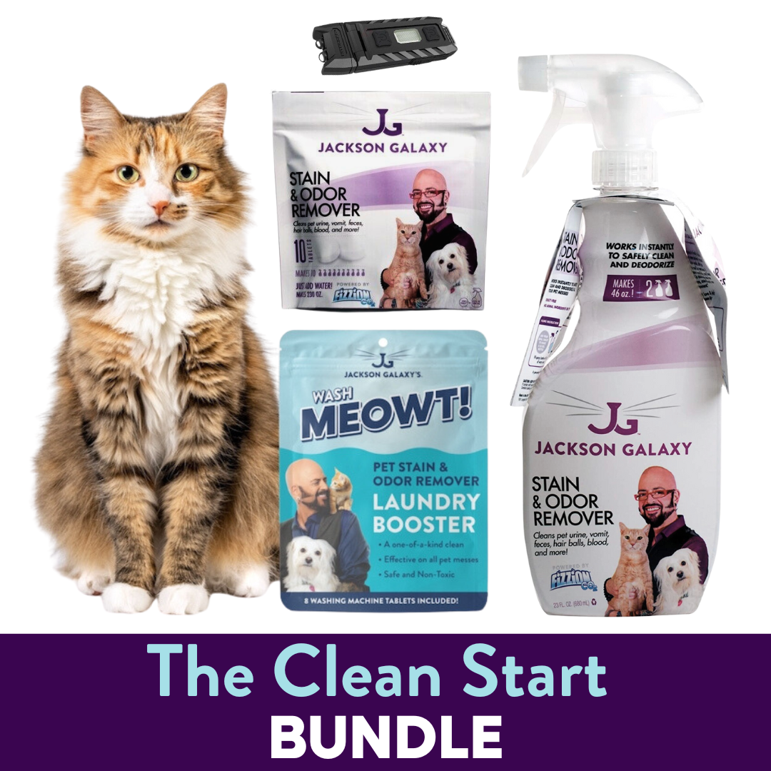 Jackson galaxy hot sale cat urine remover