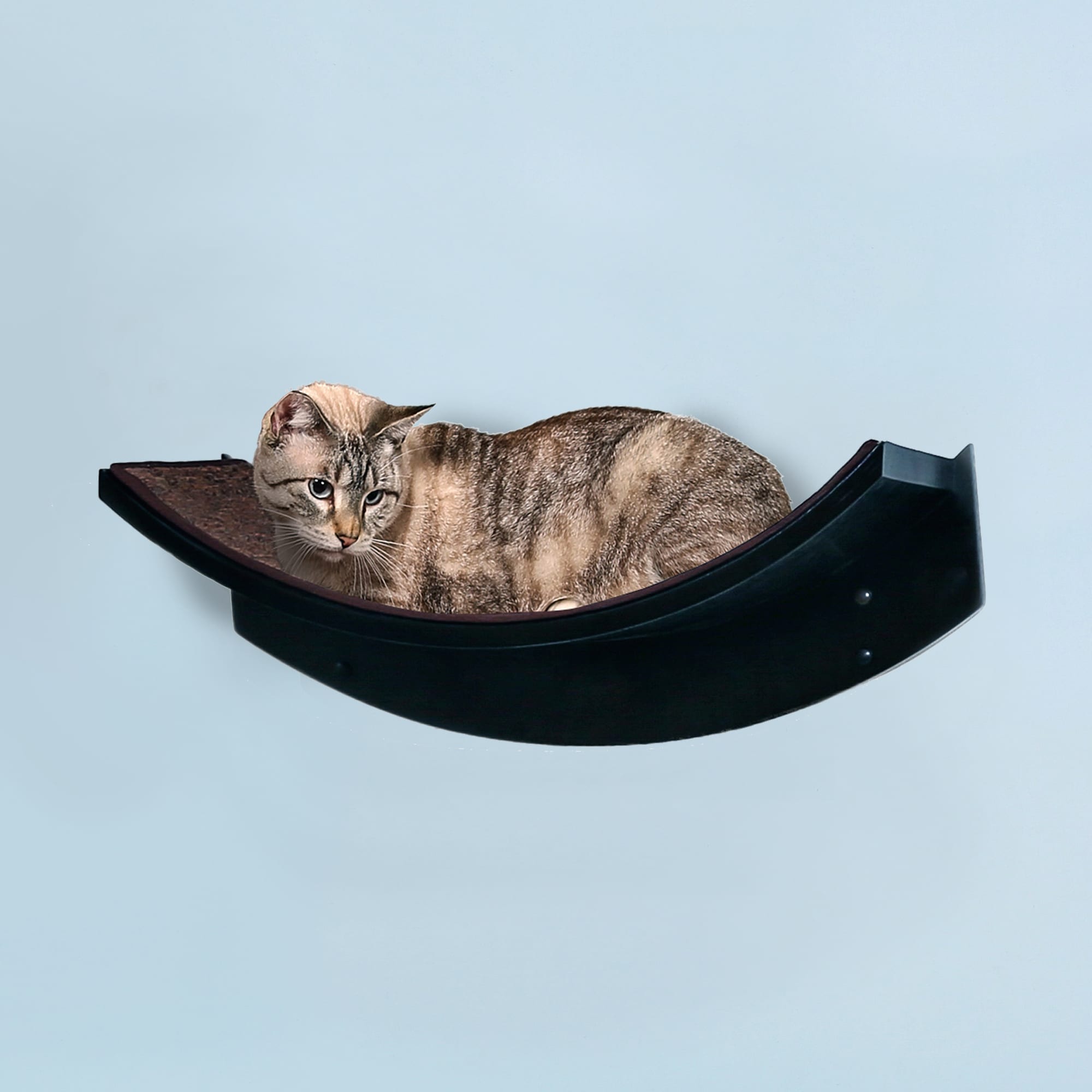 Curved store cat shelf