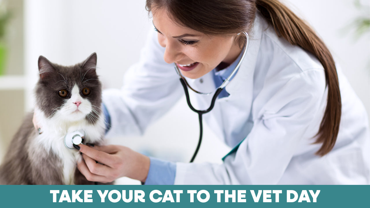 Take Your Cat to the Vet Day – Jackson Galaxy