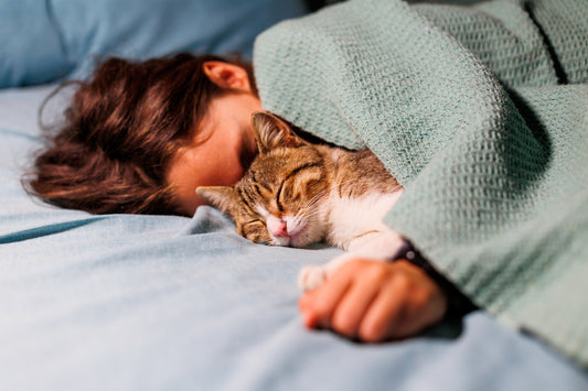 Train Your Cat to Let You Sleep