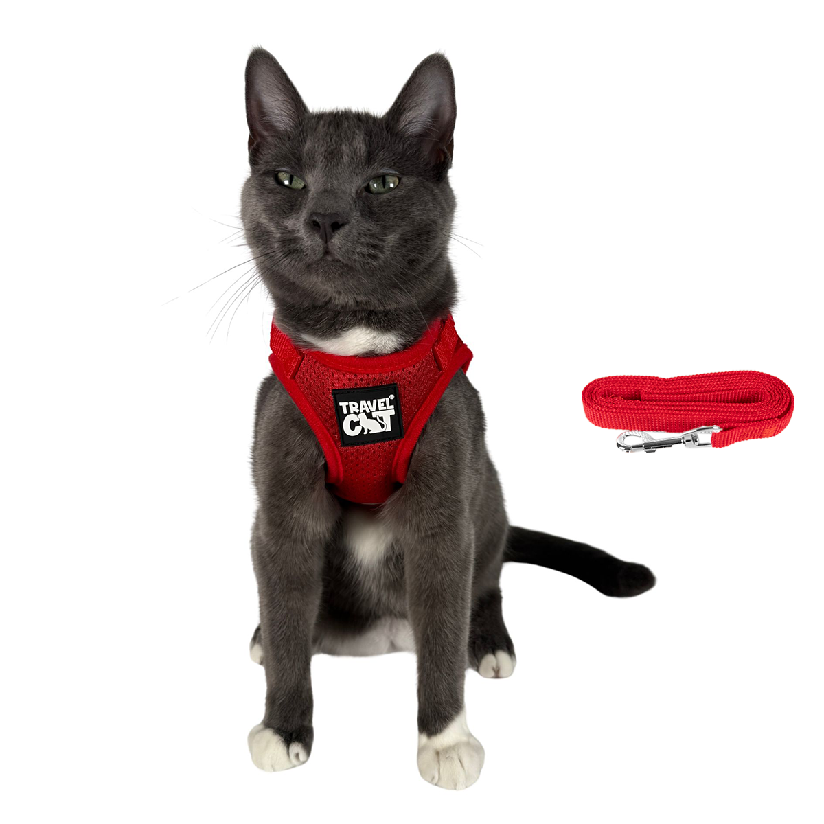 "The True Adventurer" Reflective Cat & Kitten Harness and Leash