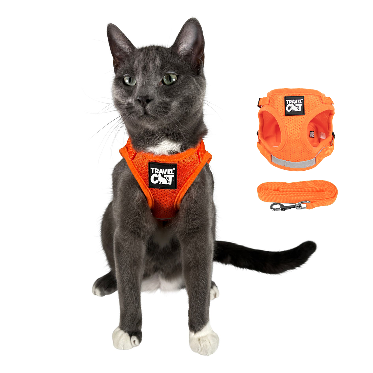 "The True Adventurer" Reflective Cat & Kitten Harness and Leash