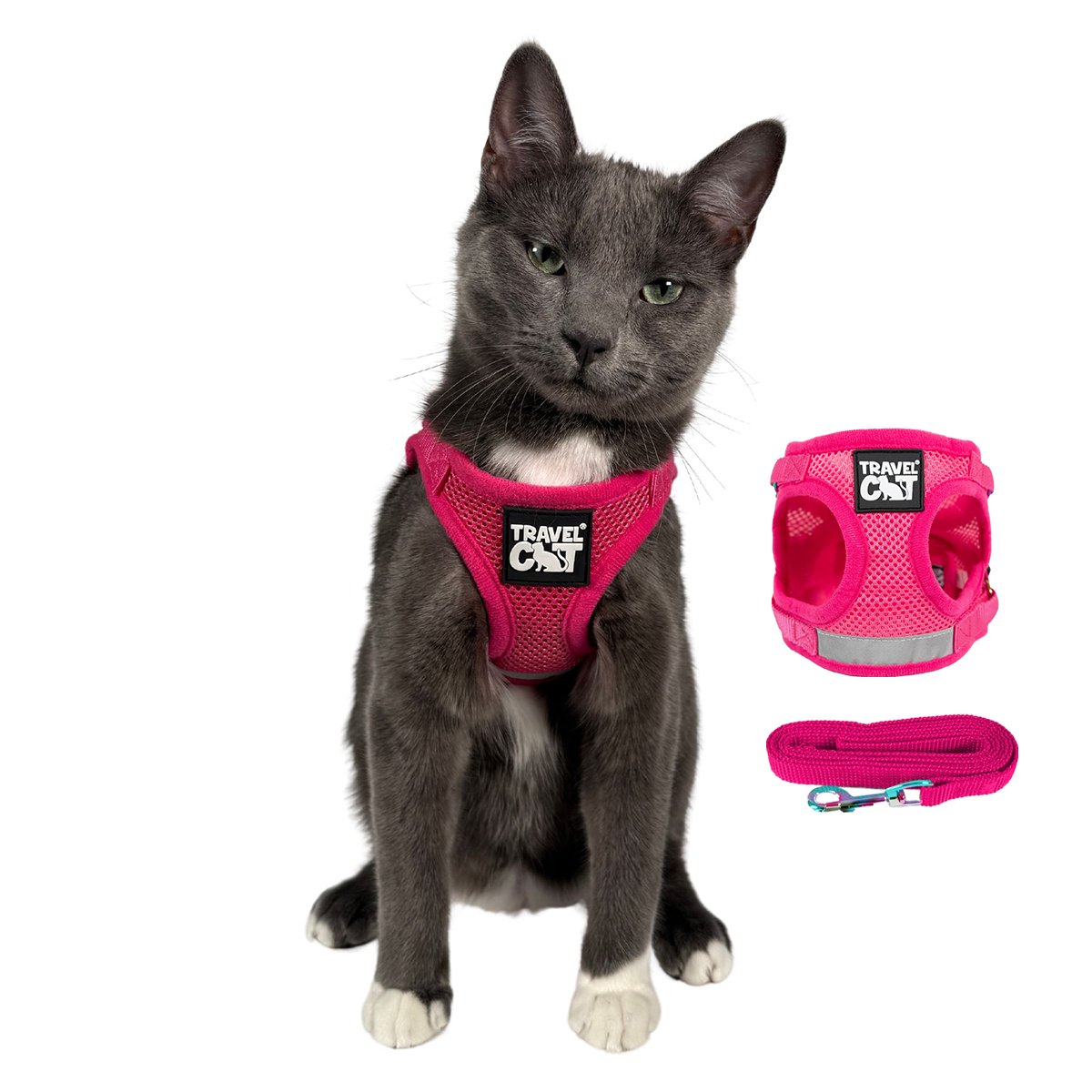 "The True Adventurer" Reflective Cat & Kitten Harness and Leash