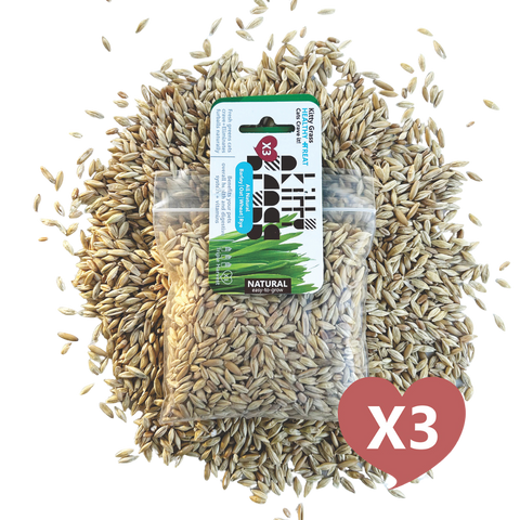 Cat Grass Seed Pack 3x by Three Farms