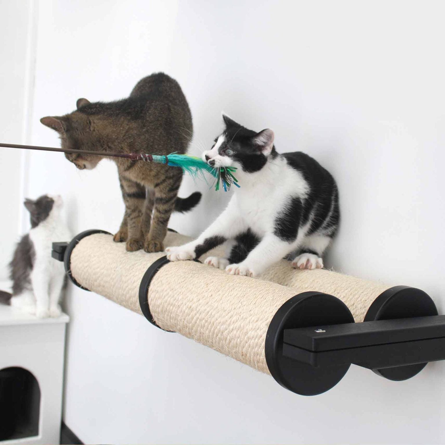 Horizontal Scratching Post Cat Wall Scratcher by Catastrophic Creations