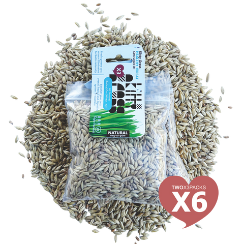 Cat Grass Seed Pack 6x by Three Farms