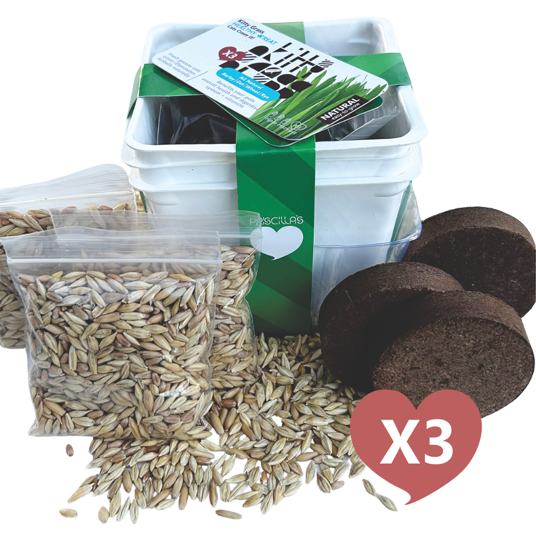 Grow Your Own Cat Grass Kits (3x) by Three Farms