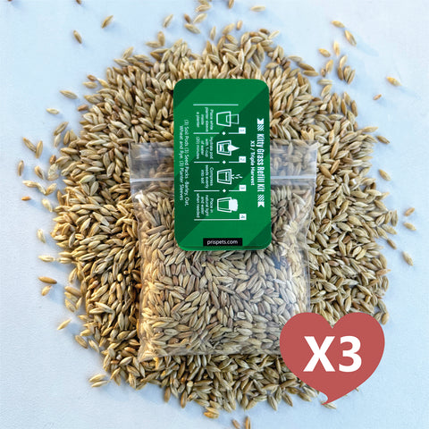 Cat Grass Seed Pack 3x by Three Farms