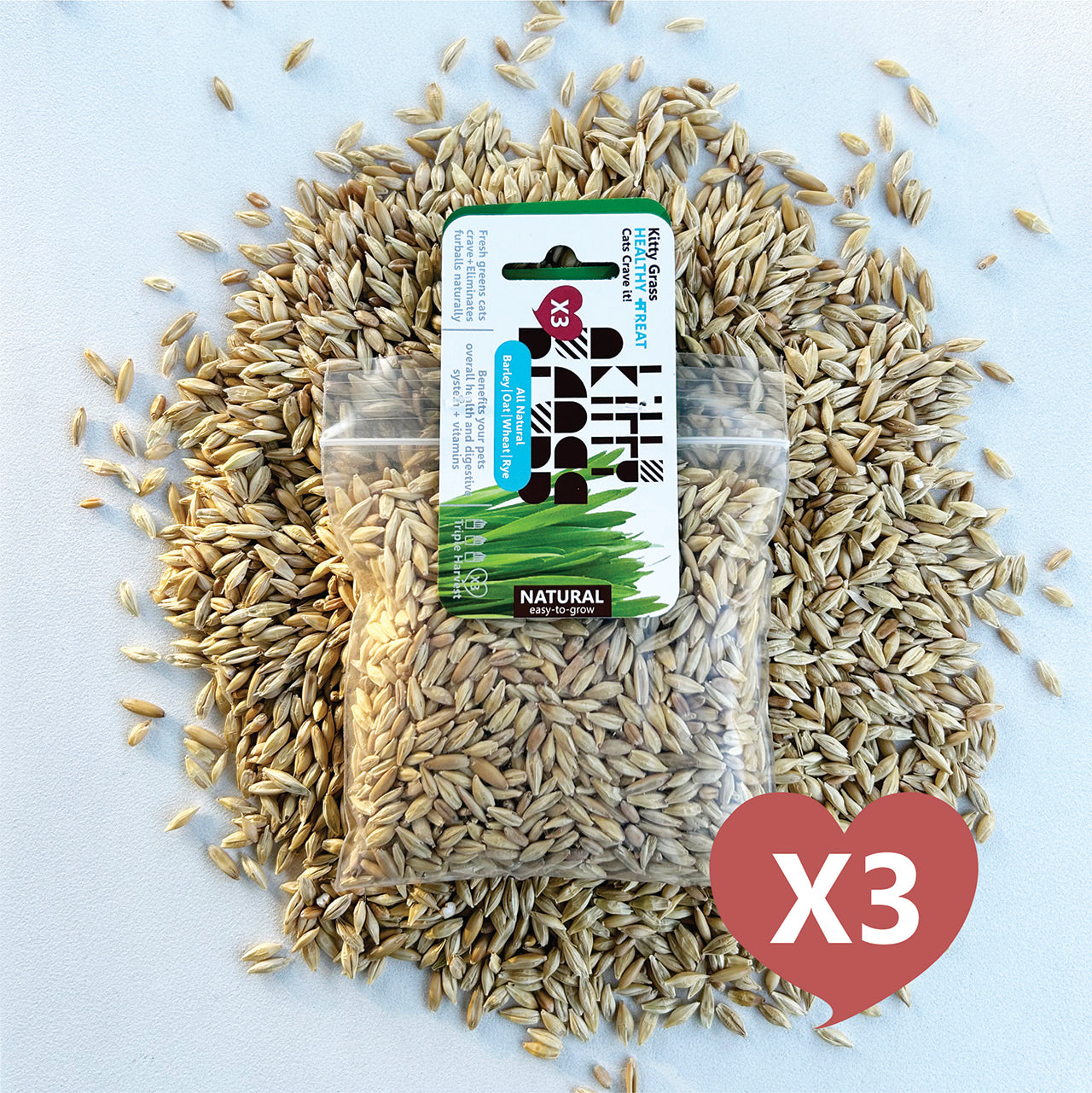 Cat Grass Seed Pack 3x by Three Farms