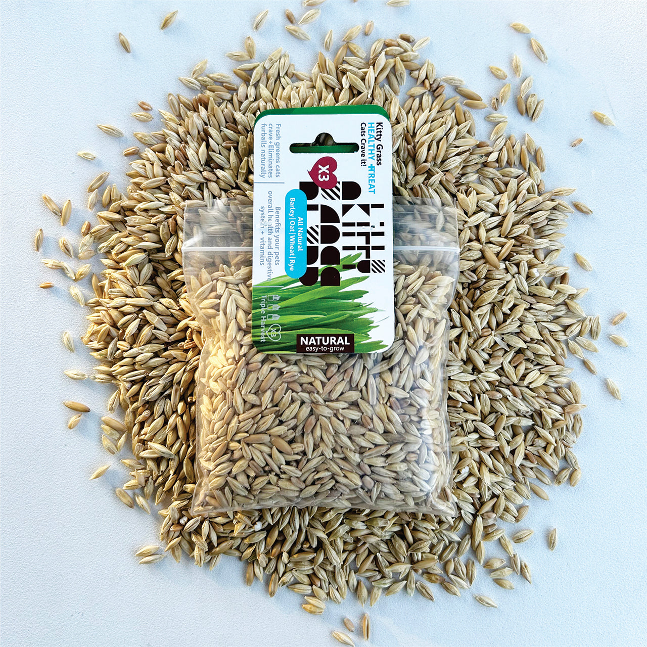 Cat Grass Seed Pack 3x by Three Farms