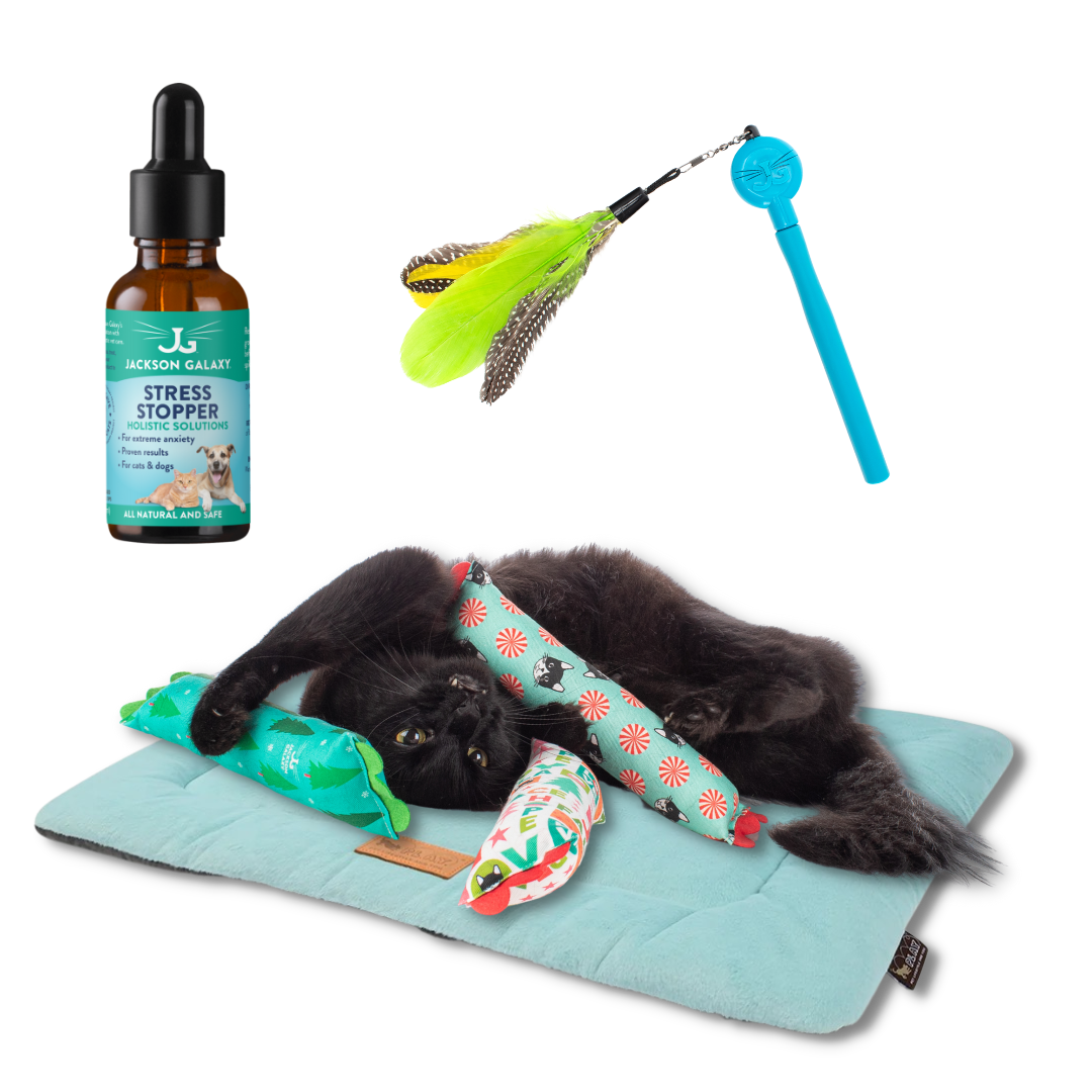 Meowy & Bright: Cat Holiday Stress Relief Bundle 🎁