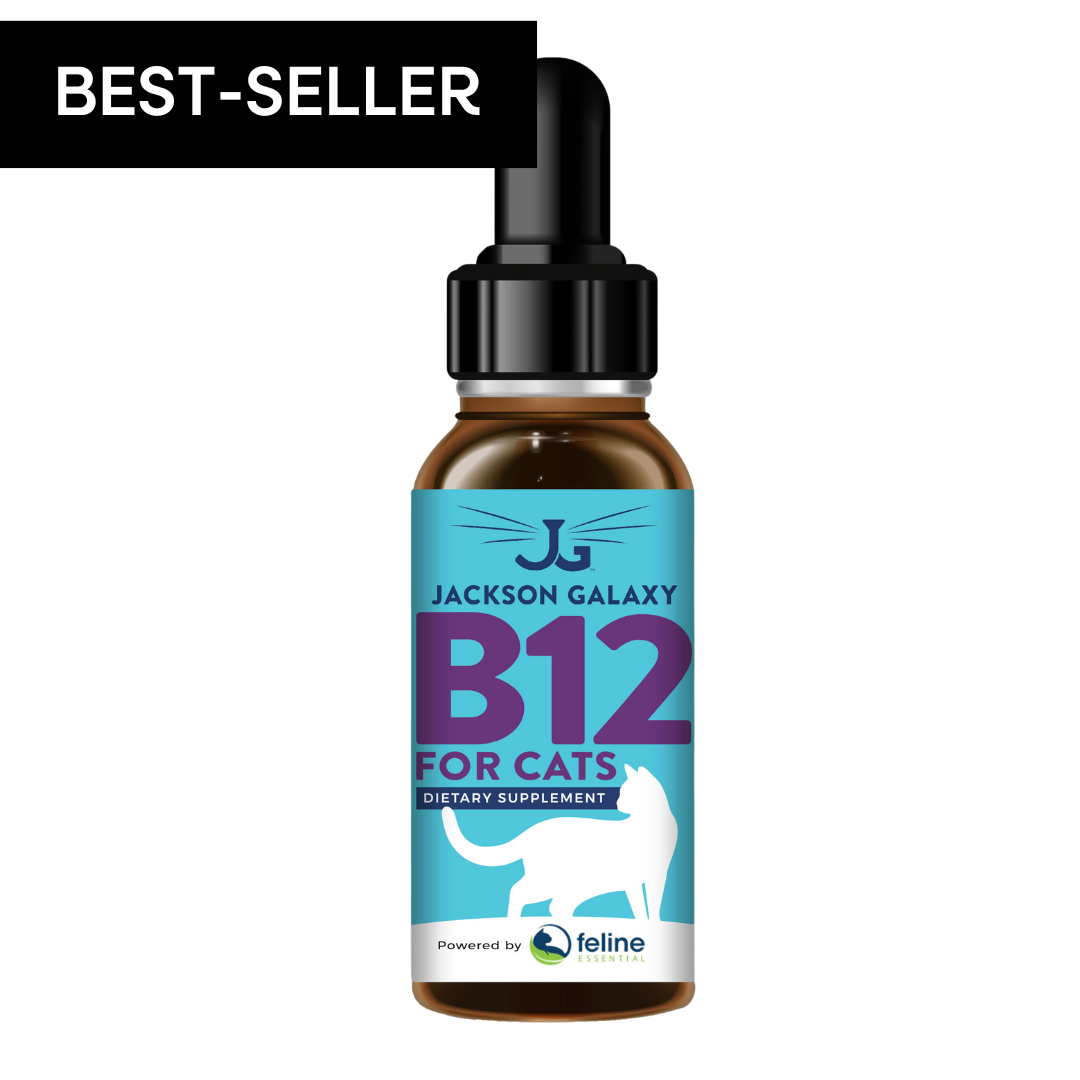 B12 For Cats Dietary Supplement