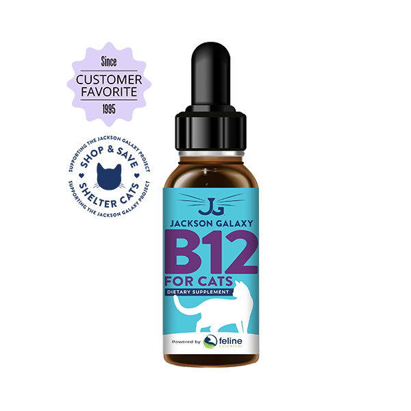 B12 injection for clearance cats