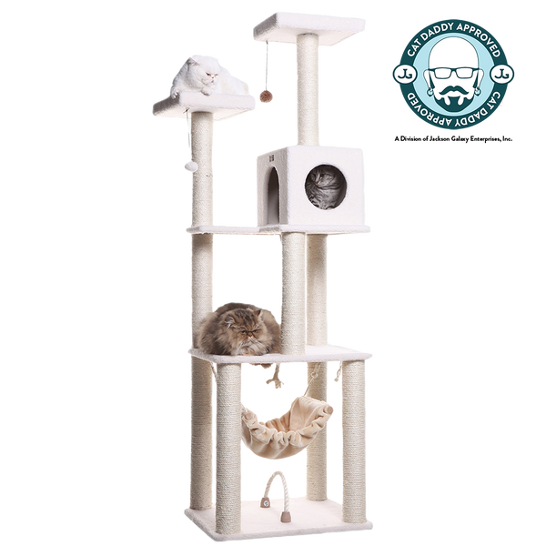 Cat daddy 2025 approved cat trees