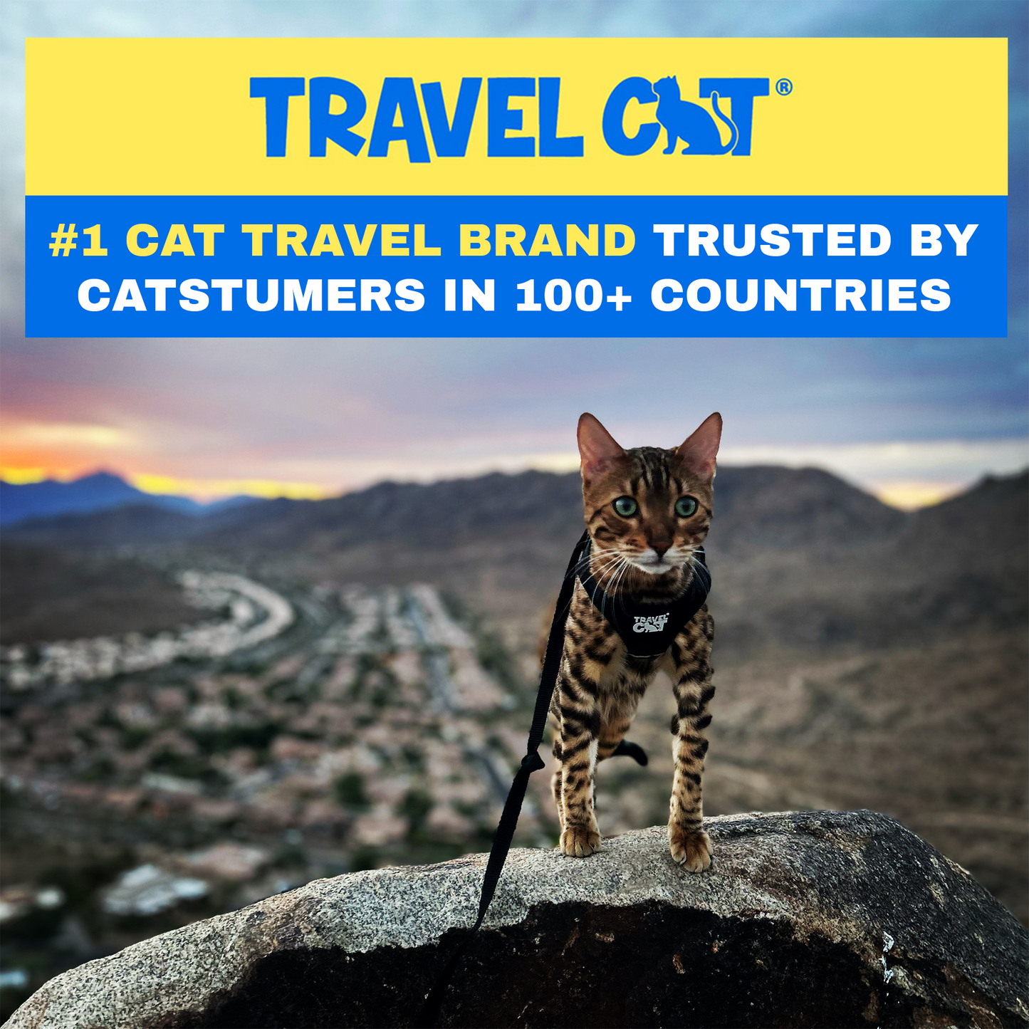 "The True Adventurer" Reflective Cat & Kitten Harness and Leash