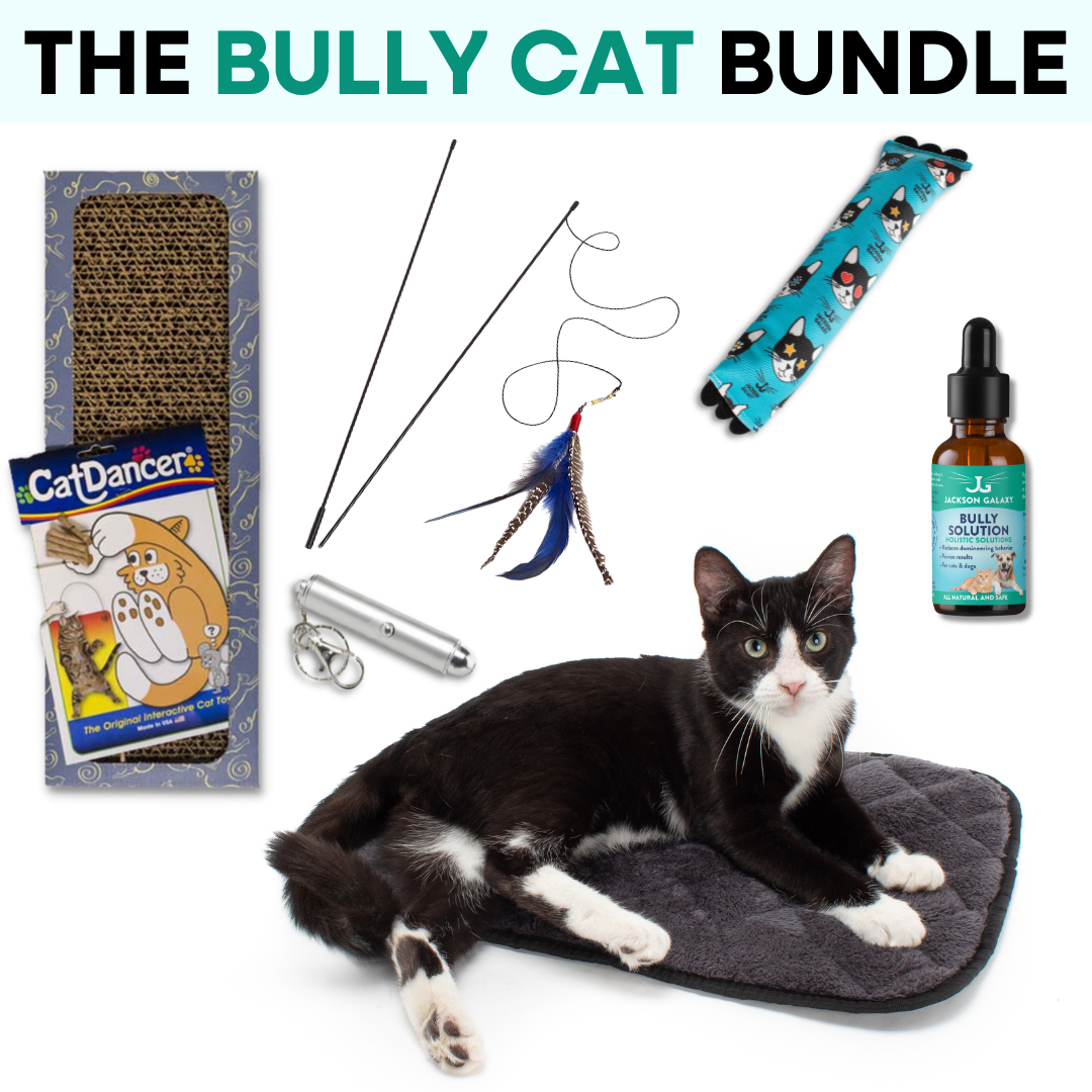 https://www.jacksongalaxy.com/cdn/shop/files/BullyCatBundleCover_1080x.png?v=1701363405