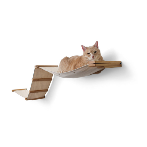 Raceway Hammock - Cat Wall Ramp by Catastrophic Creations