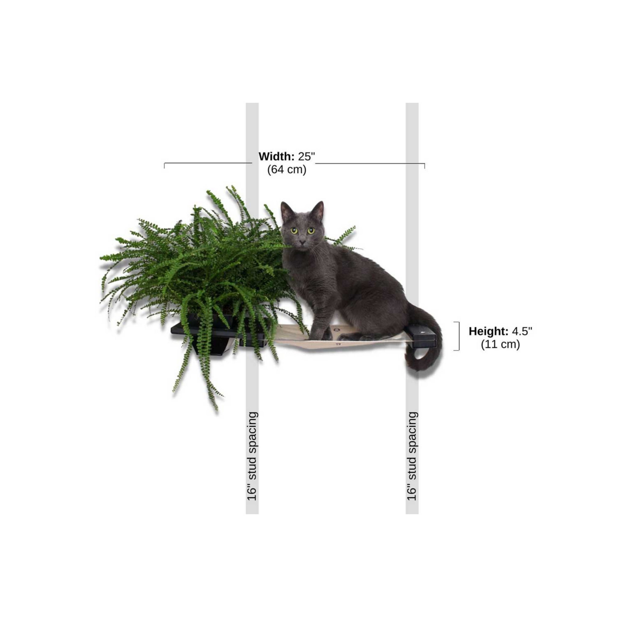 Planter Cat Hammock : Indoor Cat Garden by Catastrophic Creations