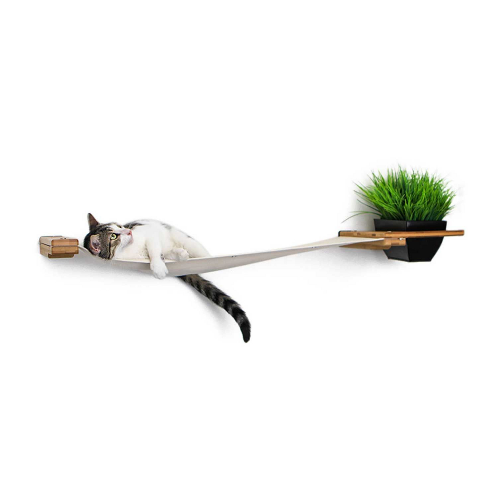 Planter Cat Hammock : Indoor Cat Garden by Catastrophic Creations