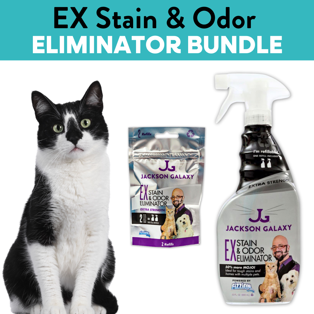 Stain & 2025 odor eliminator