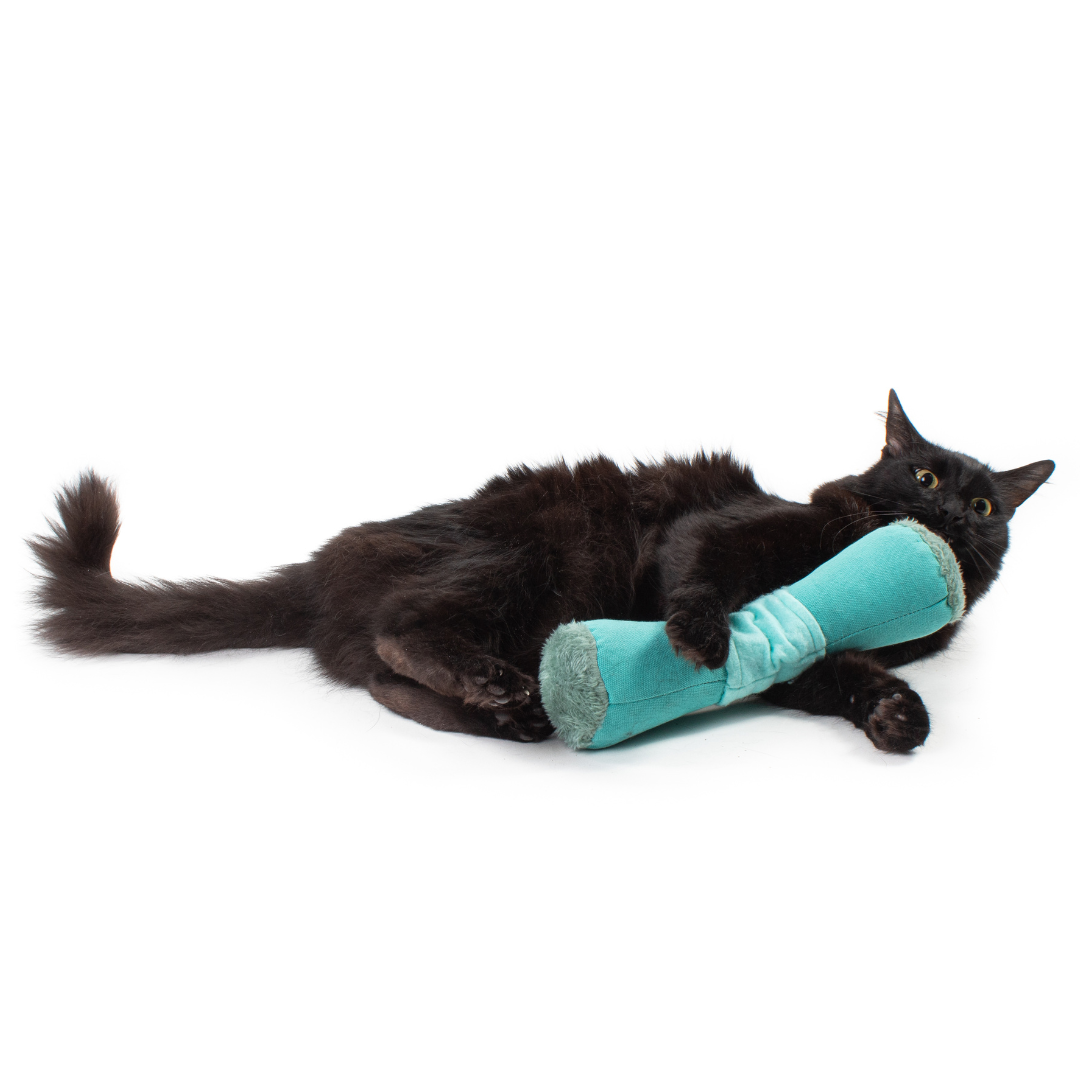 Happy Hunter Kicker by Jackson Galaxy