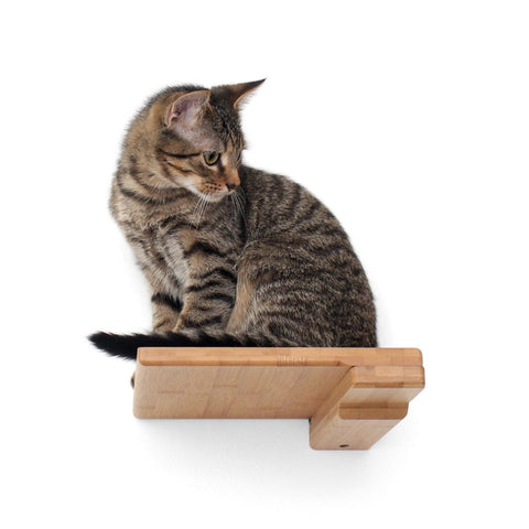 Cat Climbing Shelf by Catastrophic Creations