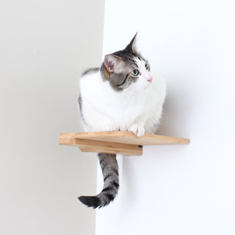 Cat Climbing Shelf by Catastrophic Creations