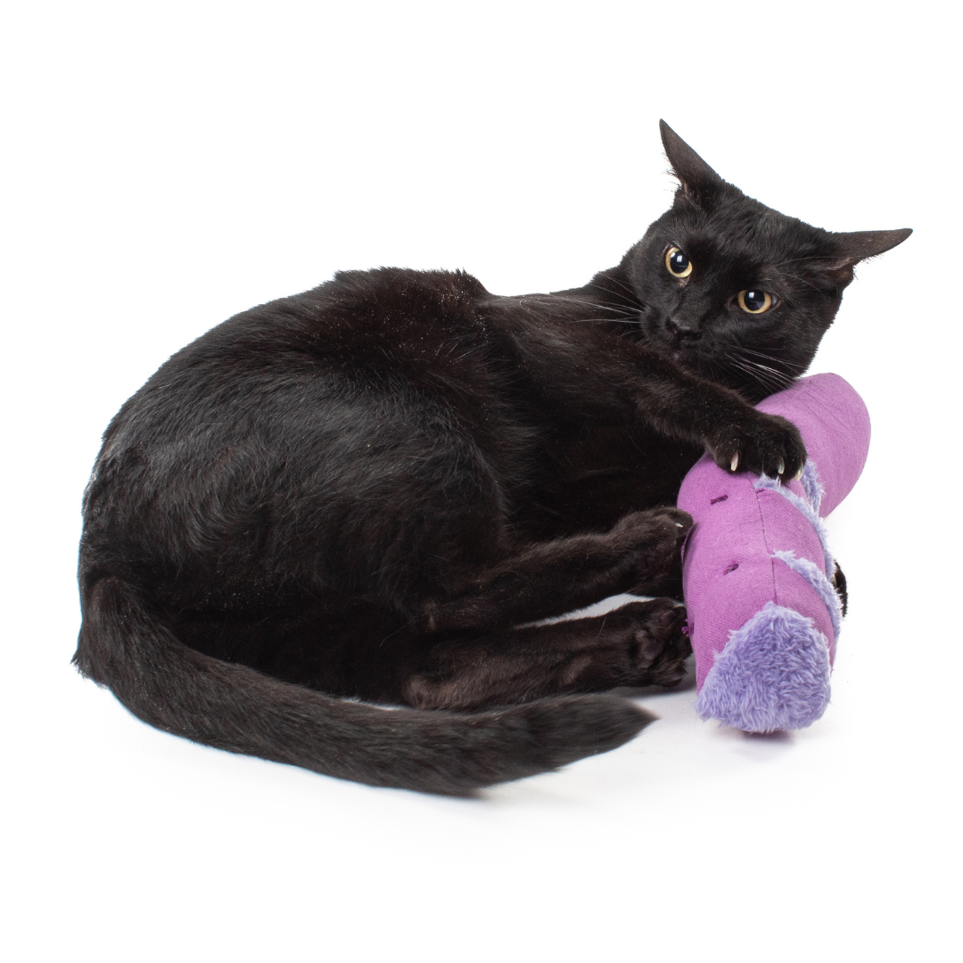 Jackson galaxy pet toys best sale