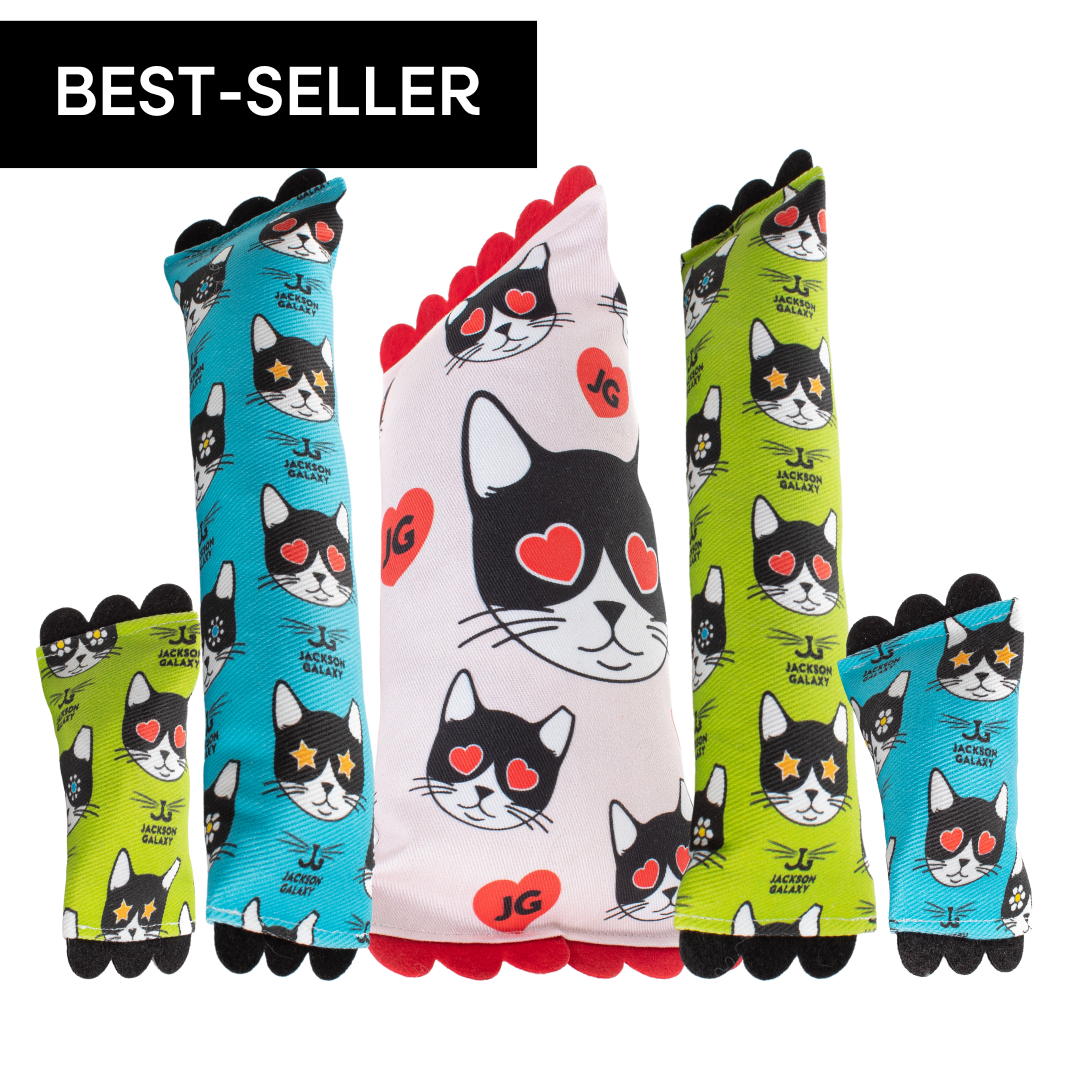 Keep 'em Kickin' Cat Bundle