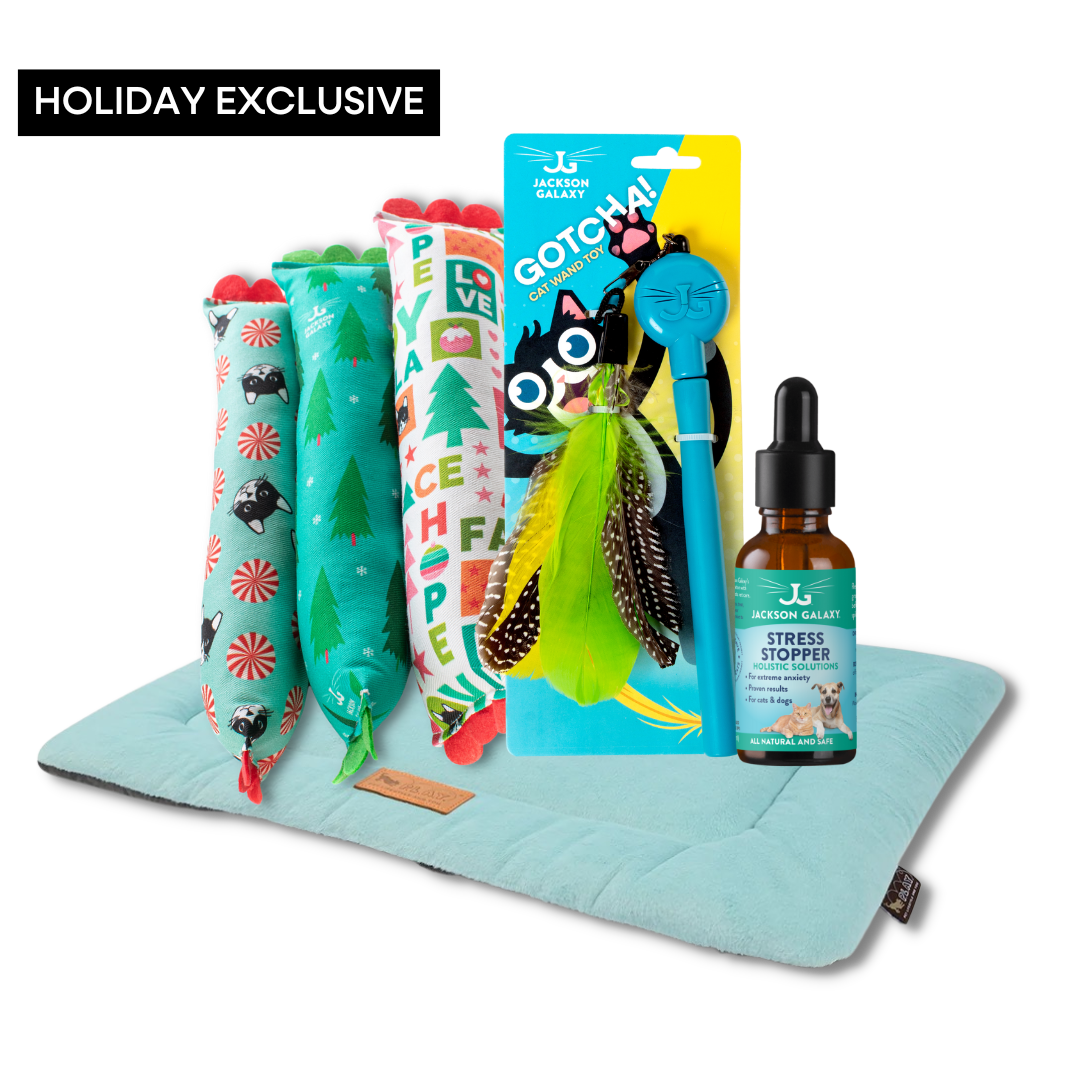 Meowy & Bright: Cat Holiday Stress Relief Bundle 🎁