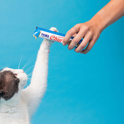 My Cat Loves Chicken! Treat Bundle