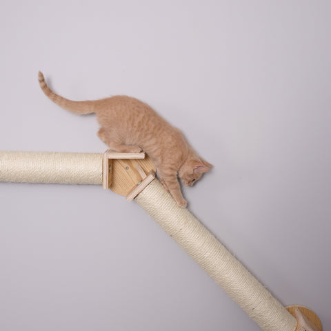 Wall Series: Wall Climbing Cat Post Bridge by Armarkat