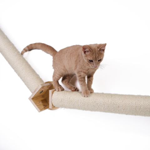 Wall Series: Wall Climbing Cat Post Bridge by Armarkat