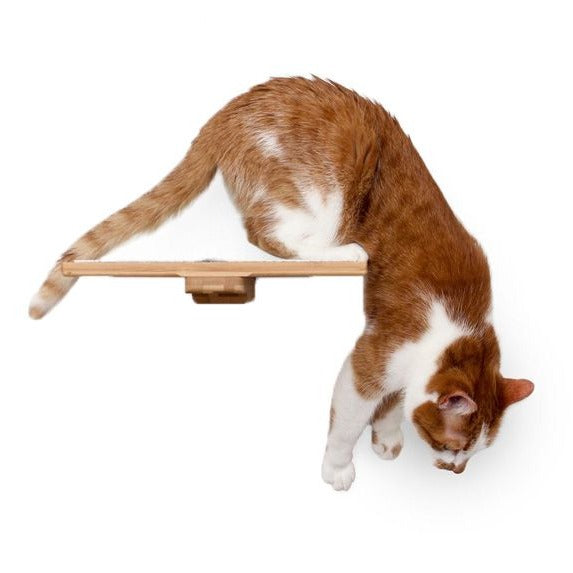 Cat Perch (Shelf) for Wall by Catastrophic Creations