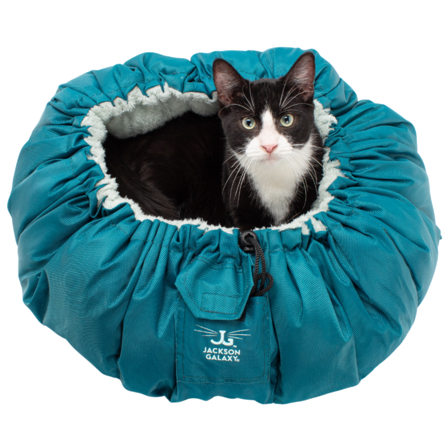 Convertible Clamshell Cat Bed