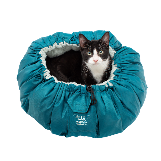 Convertible Clamshell Cat Bed