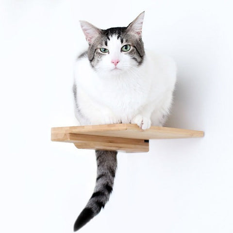 Cat Climbing Shelf by Catastrophic Creations