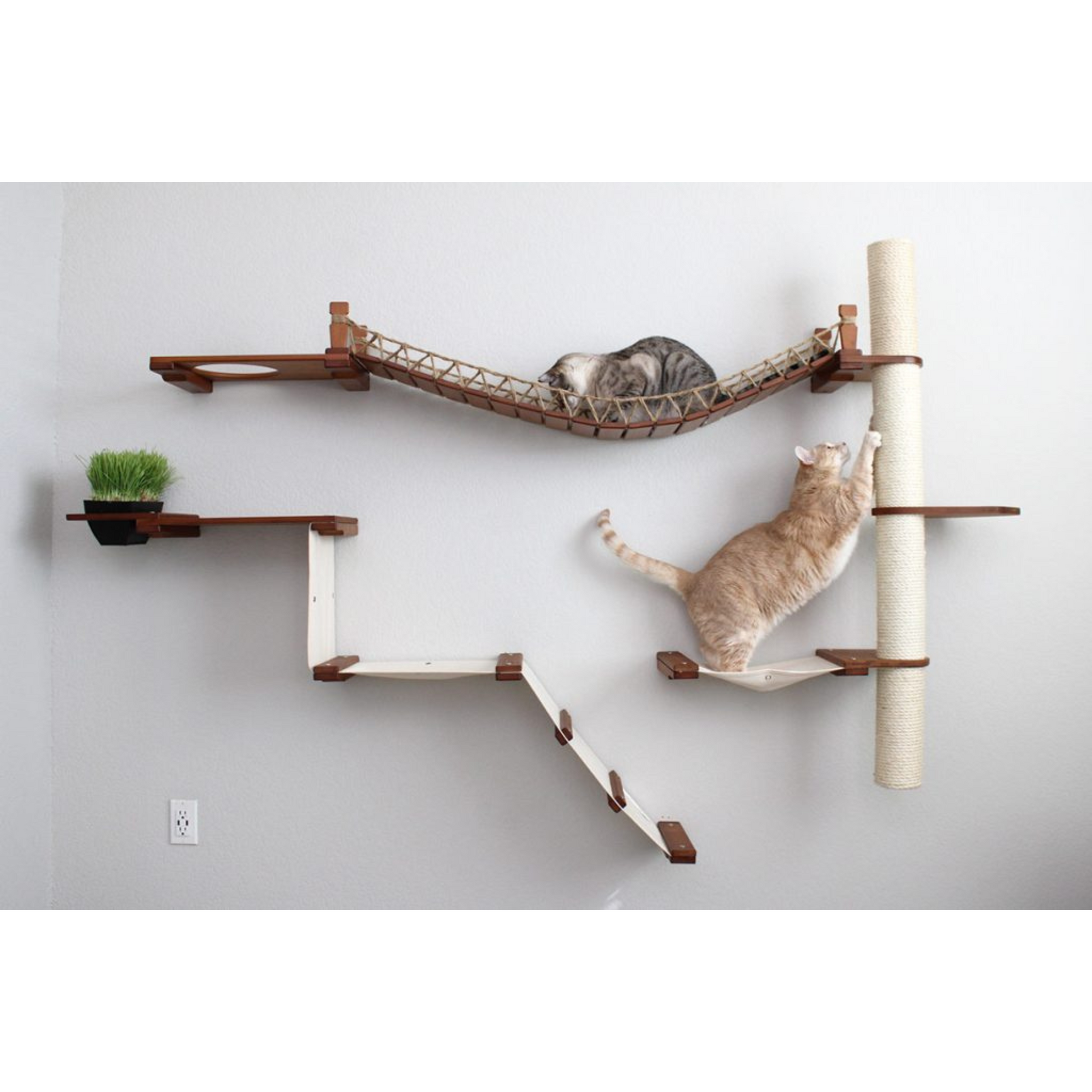 Cat condo wall best sale