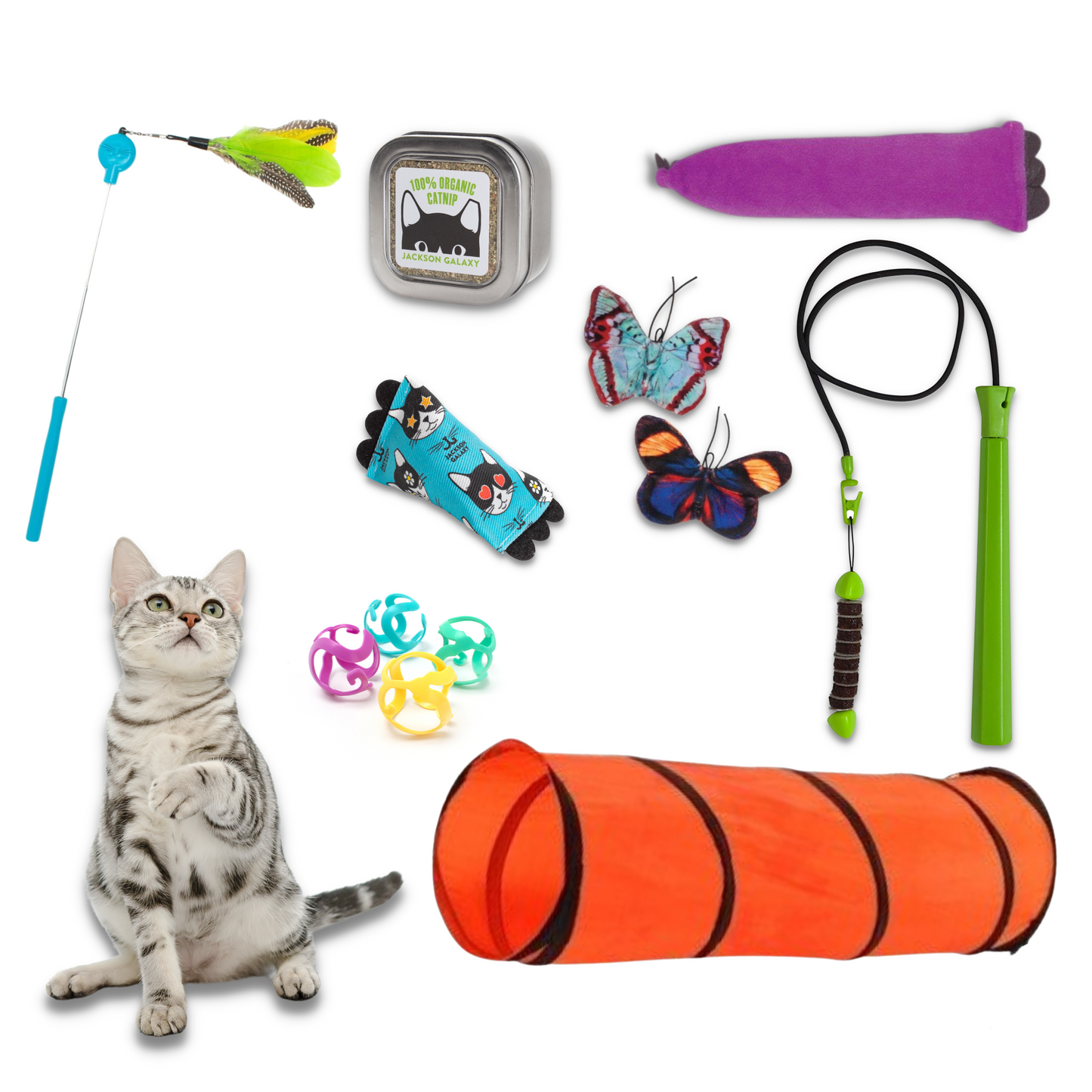 Ultimate Toy Joy Cat Bundle