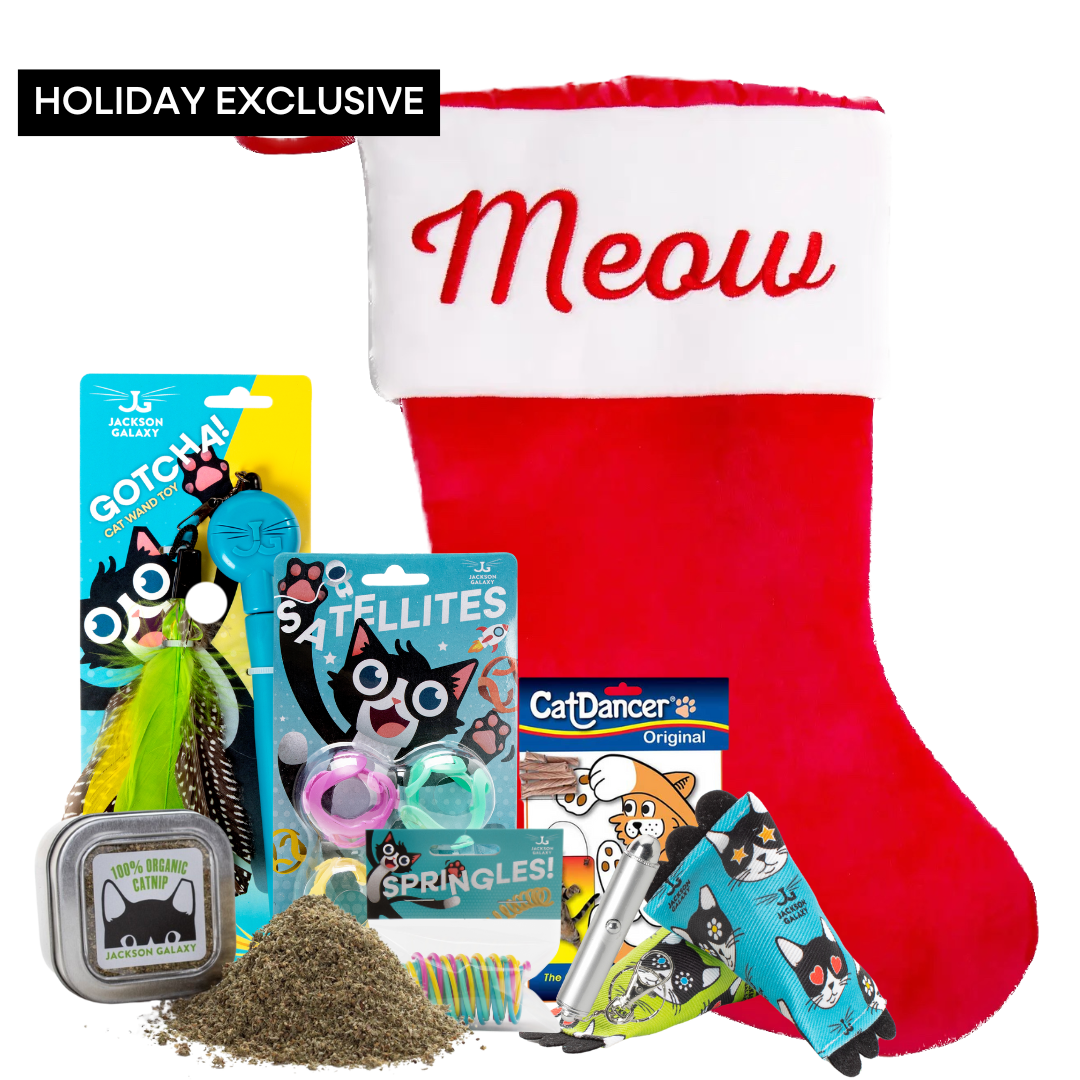 Ultimate Stocking Stuffer Bundle