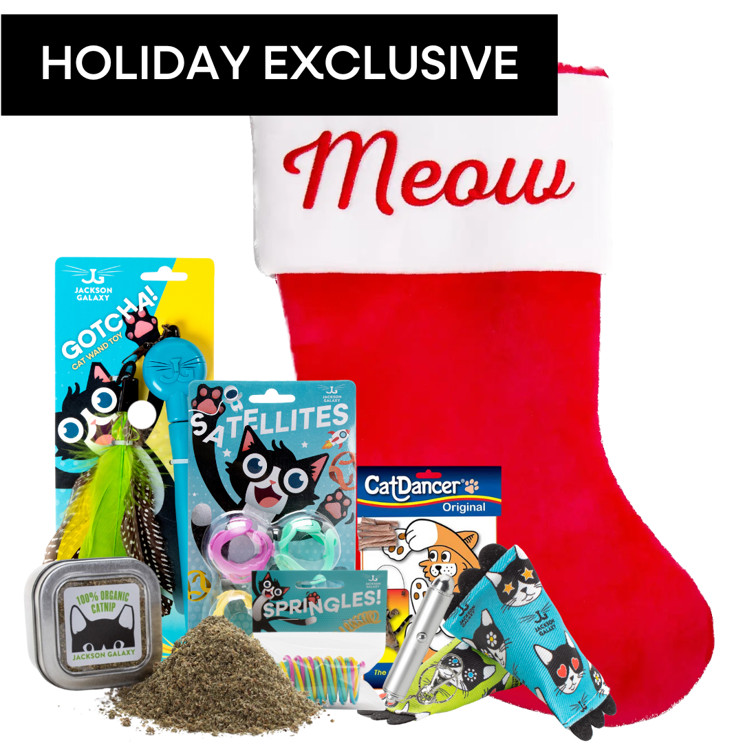 Ultimate Stocking Stuffer Bundle