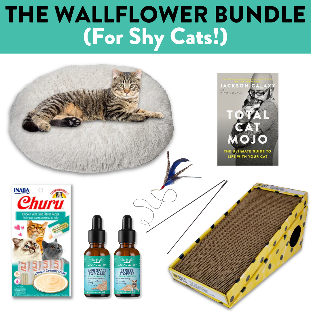 https://www.jacksongalaxy.com/cdn/shop/files/WallflowerBundleCover_1080x.png?v=1701363828