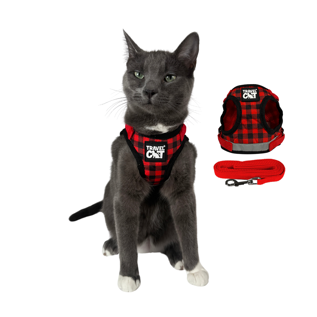 "The True Adventurer" Reflective Cat & Kitten Harness and Leash