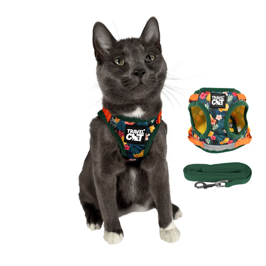 "The True Adventurer" Reflective Cat & Kitten Harness and Leash