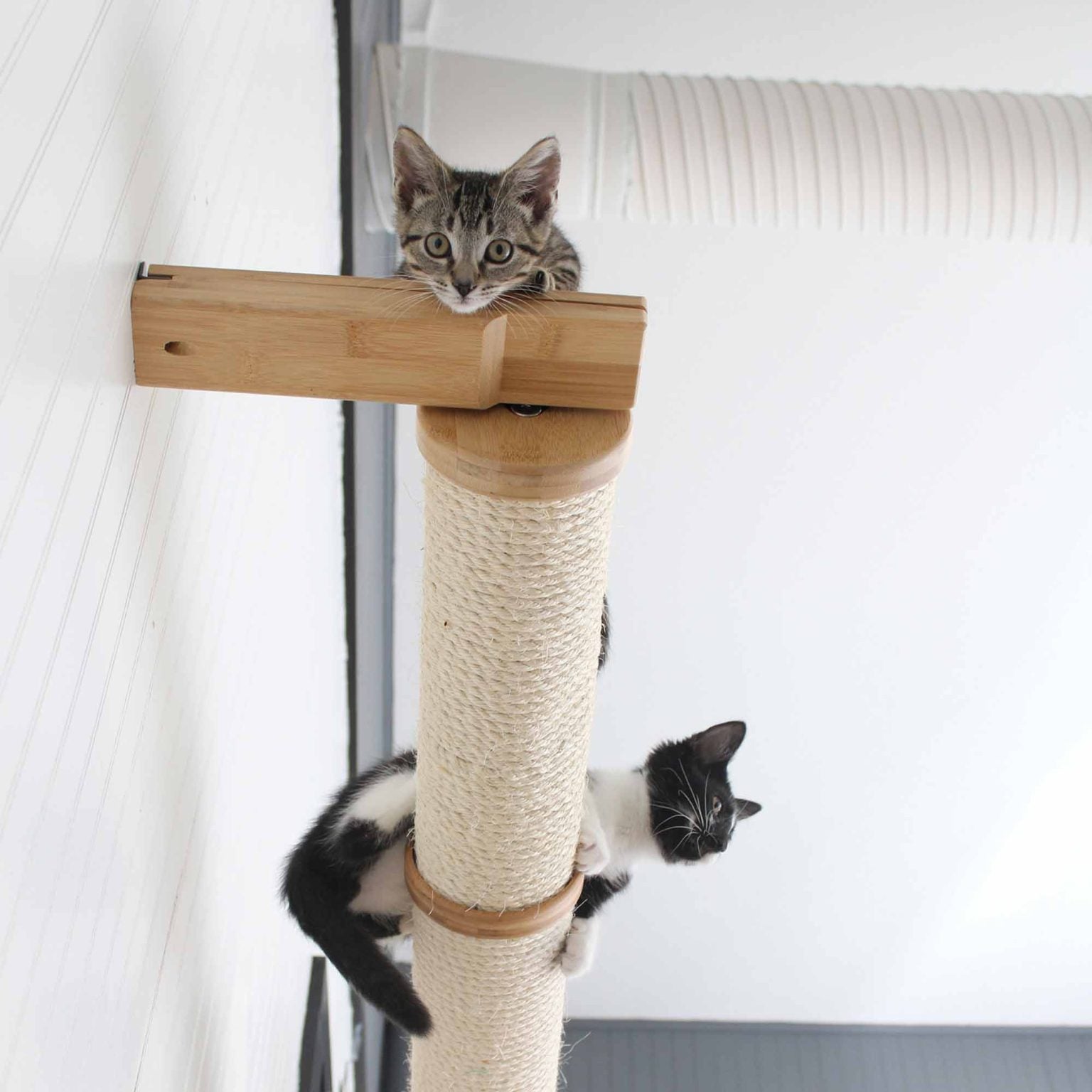 Cat scratching post for wall hotsell