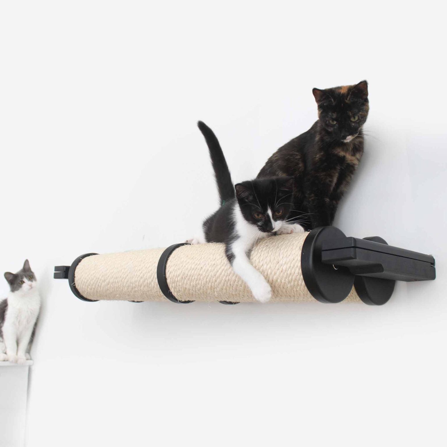 Horizontal Scratching Post (Cat Wall Scratcher) by Catastrophic Creations