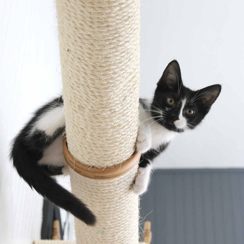 Horizontal Scratching Post (Cat Wall Scratcher) by Catastrophic Creations